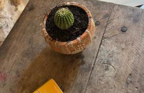 Can Bagot, Turismo de Interior - Foto 27