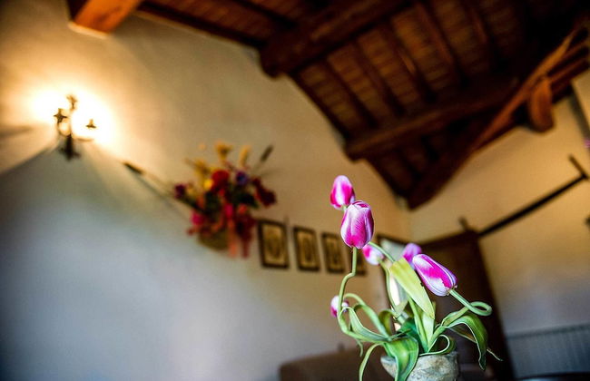 Agriturismo Palazzo Conti A - Foto 37