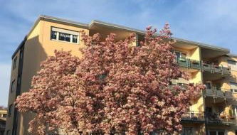 Apartment Stadtferienwohnung by Interhome - Foto 5