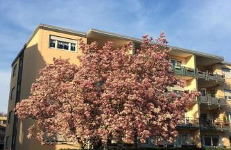 Apartment Stadtferienwohnung by Interhome - Foto 5