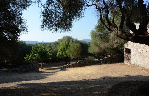 Stazzu Spadulagliu near Olbia - Photo 27
