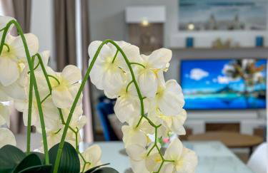 Apartman Stipić 1 - Photo 11