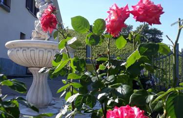 Cà Du Ruja - Foto 11