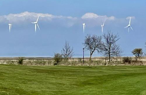 FeWo-mit-Terasse-u-Garten-am-Golfplatz - Foto 16