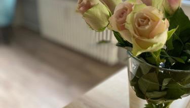 Buer City Apartment mit Balkon - Foto 4