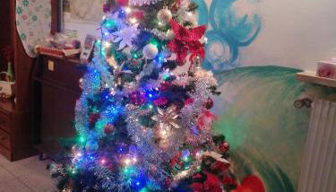 Colori nel parco - Foto 2