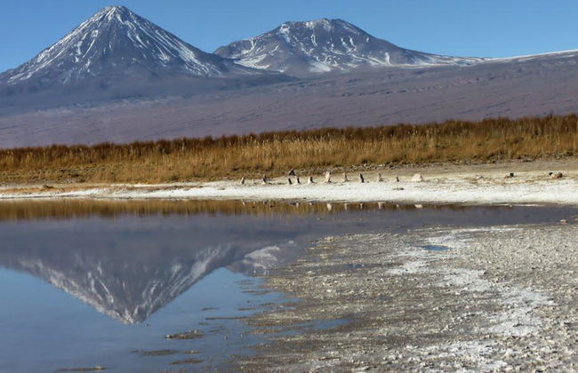 Cejar Lagune - Halbtagestour - Foto 1