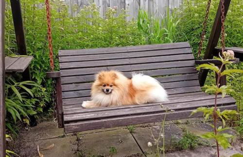 Ruhe und Entspannung in Haus und Garten - Foto 17