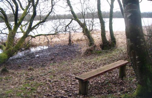 The Apartment at Mullans Bay - Foto 11