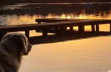 Tree&Water Apartament nad jeziorem Ublik - Foto 25