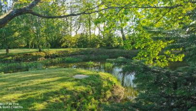 Violin house - Foto 5