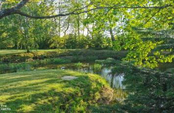 Violin house - Foto 5