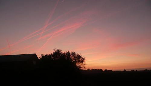 Krosse Krabbe - Foto 2