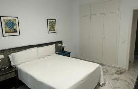 Castillo del Espiritu Santo (La Jara) - Foto 24