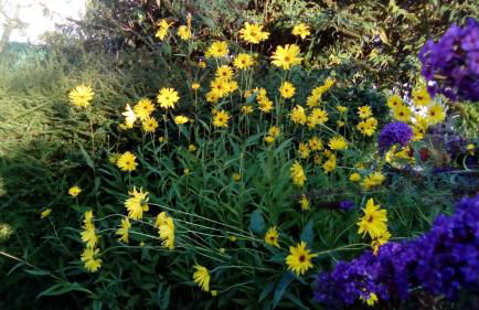 Casa Rural Reparaz - Foto 24