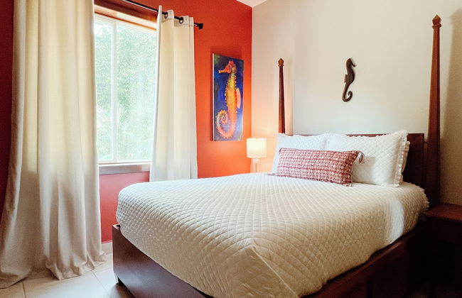 Marazul Belize - Foto 17