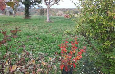 Maison à la Campagne - Foto 69