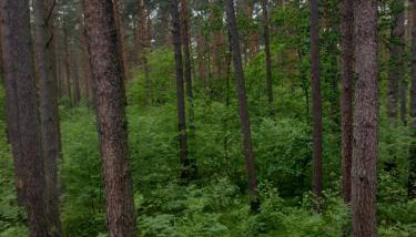 Positive energy 1 - Foto 4