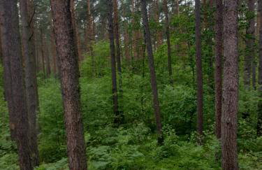 Positive energy 2 - Foto 21