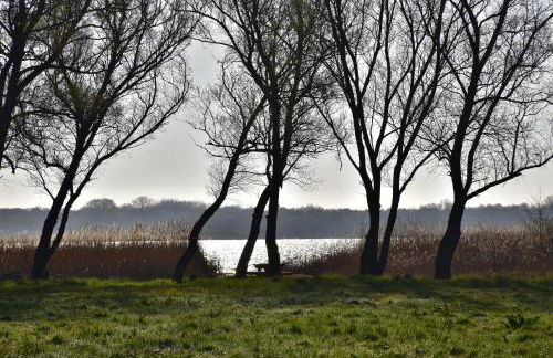 Fewo Möwe Dierhagen - Foto 30