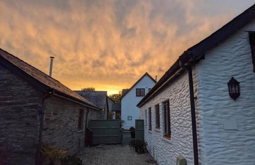 Croft Farm & Celtic Cottages - Foto 58