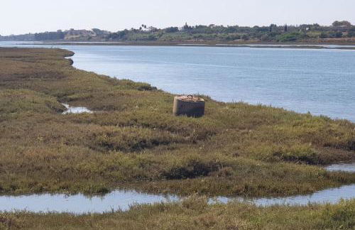Pedras del Rei - local mágico - Foto 13