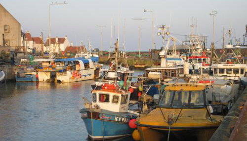 Anchor House - Foto 4