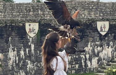 La Belle Maison-ile de France - Foto 17