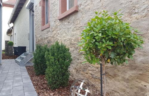 A&M Apartment Ahorn/Hohenstadt - Foto 16