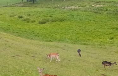 Ferienwohnung - Foto 18