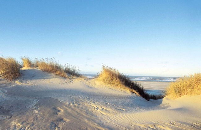 Strandhuus Modern Retreat - Foto 10