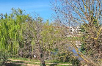 Bright & Cozy Medulin apartments - Foto 59