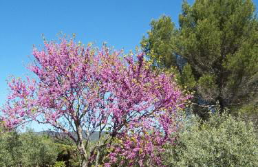OUSTAOU DU GAYET gîte de charme avec piscine privée - Foto 36