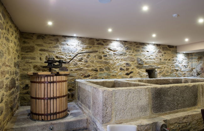 Vila Gale Douro Vineyards Hotel - Foto 44