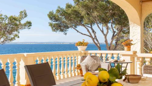 Far alcanada - Foto 5