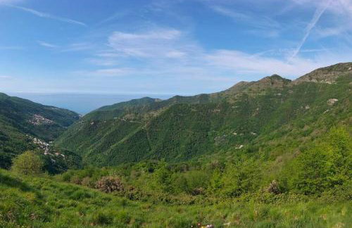 CASA LINA citra 010031-LT-0009 - Foto 11