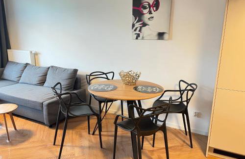 Piękny, nowy apartament LEŚNYCH SKRZATÓW w Poznaniu - Foto 3