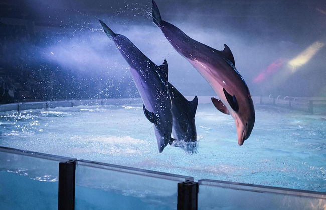 Pet-friendly Zeeland Getaway - Foto 31