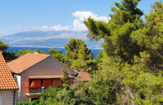 Apartment Andrea - Photo 37