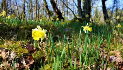 A l'Epicerie - Photo 3