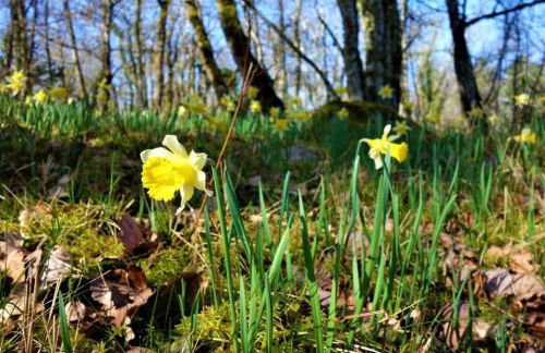 A l'Epicerie - Photo 3