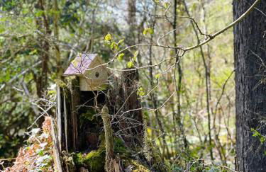 Mt Rainier Little Green Cabin On Big Creek! - Foto 29