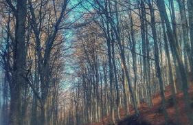 Annina house - Foto 31