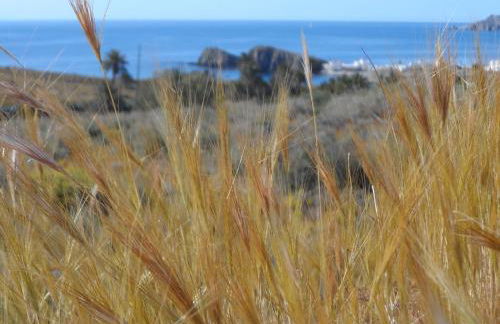 Apartamento encantador - Foto 38