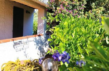 Il GLICINE - Foto 21