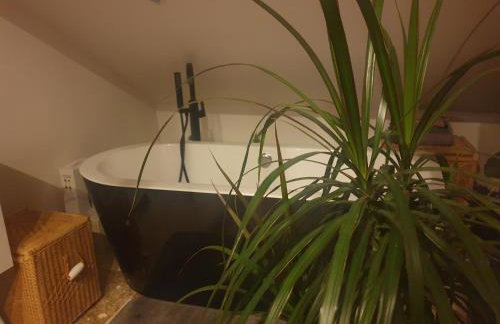 Oasis Bouddha - Foto 8