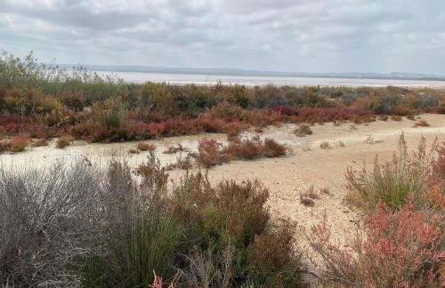 Modern and airy holiday home - Foto 13