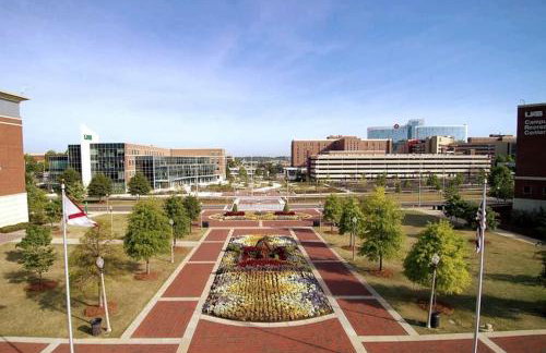 A Place to Escape 5 minutes from Downtown Newly Renovated - Foto 39