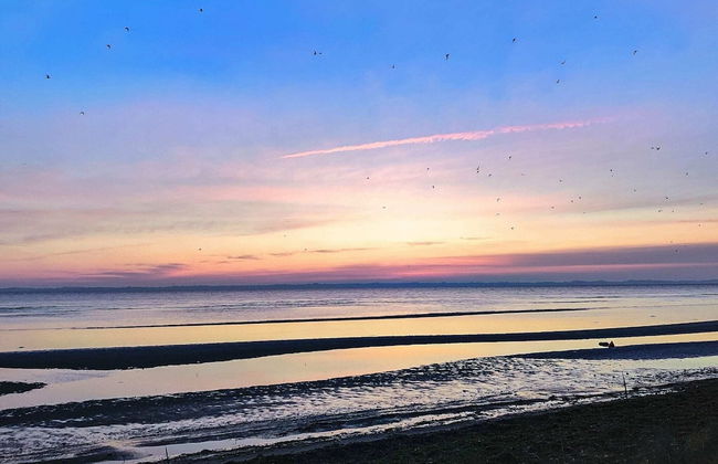 Seaside Escape at Elsehoved - By Traum Ferienwohnungen - Foto 14