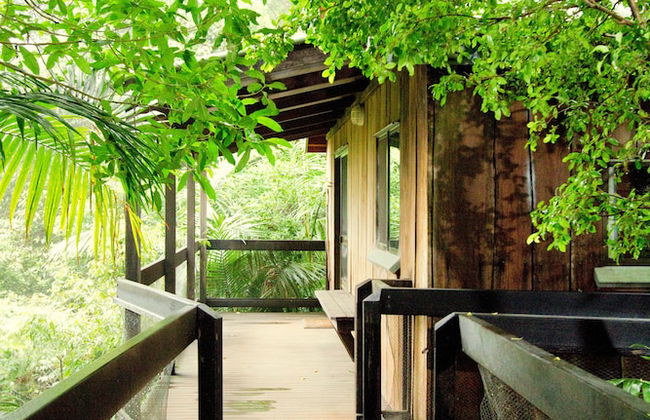 Mt Glorious Getaways - Foto 30